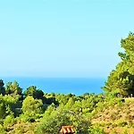 Bella Galera * Αλτέα